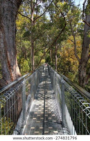 Tree Top Walk in the Valley of the Giants, Walpole-Nornalup National Park, near Walpole, Western Australia
