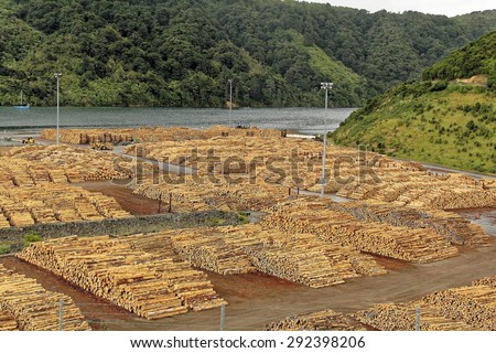 Timber logging industry in Picton, New Zealand
