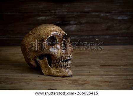 Still life.Skull resting on the old wooden floor.