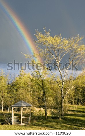 Rainbow During A Summer Storm