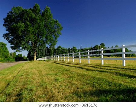 A White Horse Paddock Fence In The Countryside With Blue Sky