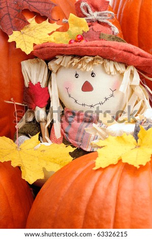 Decorative Scarecrow Surrounded By Pumpkins To Celebrate The Fall Thanksgiving Season