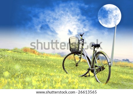 Old Bicycle in a garden with moonlight as background