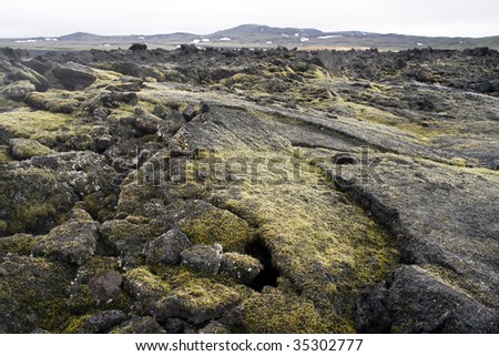 Krafla volcanic area in northern Iceland. Lava covered with moss.