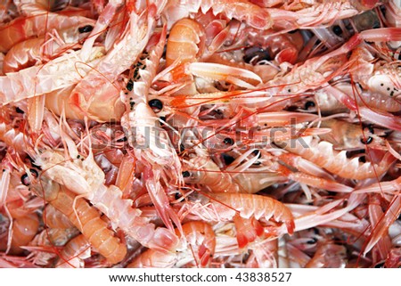 Raw shrimps background. Delicious fresh seafood.