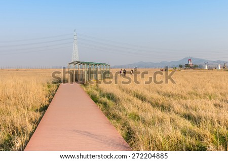 Prairie landscape in Park,South Korea