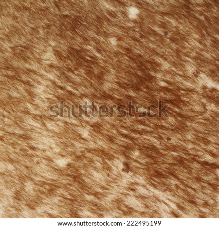 brown textured cowhide