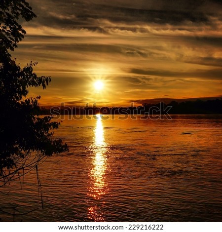Sunset across lake making a golden path in South America, Peru, Peruvian Amazon Jungle forest.