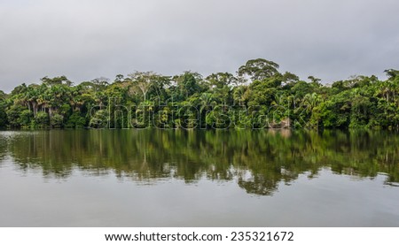 Lake Sandoval in Peru, Peruvian Amazon, South America. View of Lake Sandoval, Peruvian Amazon, Peru, South America. Located Tambopata-Candamo; a nature reserve. Basin south of the Madre de Dios River.