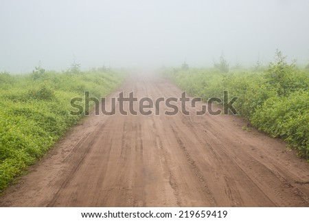 Road and mist  in Lachay hills, national reserve sited near Lima city, Peru. this hills become a green with the sea mist in winter season.