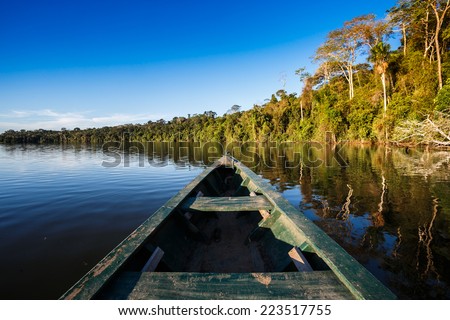 reflects of the jungle on the water of the river in the amazon