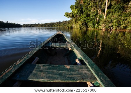 reflects of the jungle on the water of the river in the amazon