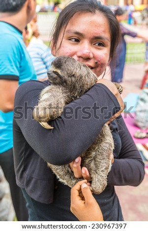 IQUITOS, PERU - CIRCA 2014: An exotic pet, a Pale-throated Sloth (Bradypus tridactylus) in arms of a woman circa 2014, in Iquitos, Peru.