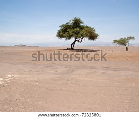 Ica Desert