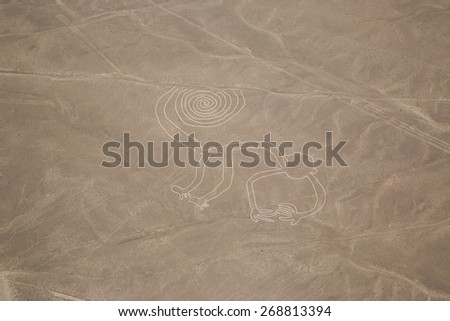 View of nazca Line: The monkey
