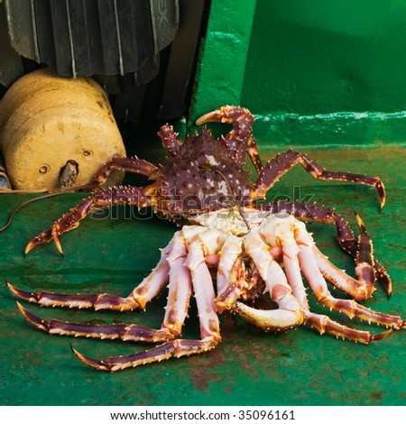 lobster poaching in the Russian north