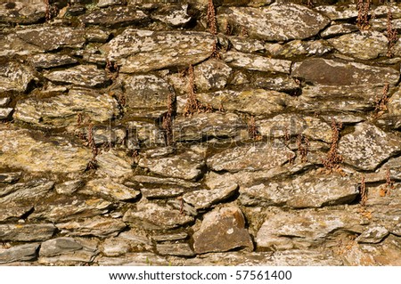 Old weathered French castle wall