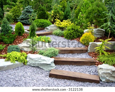 Designer garden with fresh plants and stones Designer garden with fresh plants and stones