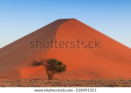 Spectacular red dune of always shifting sand. At sunset Sossusvlei, Namibia, Africa.