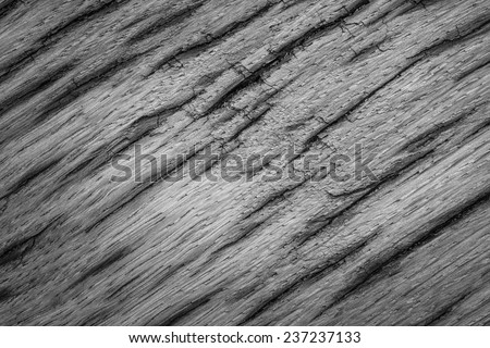 Detailed gray texture of very old oak wood. Usable as background in your design or website.