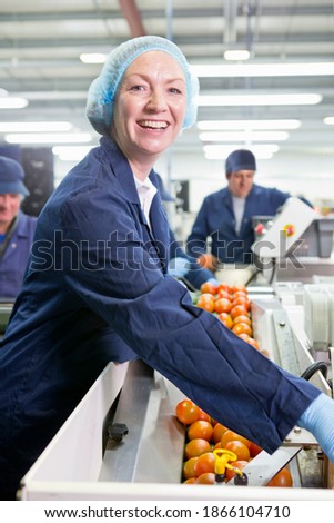 Portrait of a smiling quality control worker checking tomatoes at production line in a food processing plant