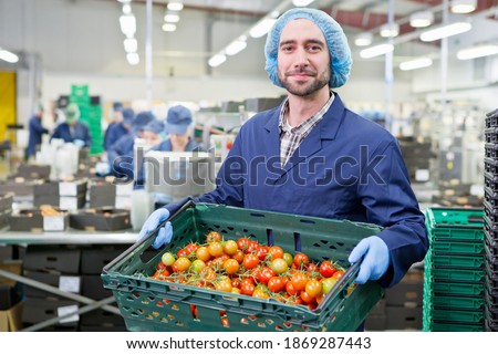 Portrait of a confident worker holding crate of ripe red vine tomatoes in a food processing plant
