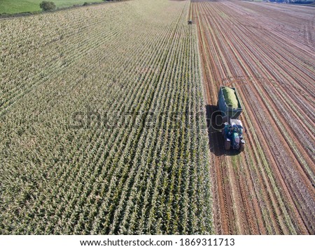 Aerial view of tractor trailer with harvested maize in a sunny field