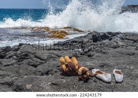 Plush toy dog and shoes on lava rock at beach, behind splashing water in the Pacific ocean.