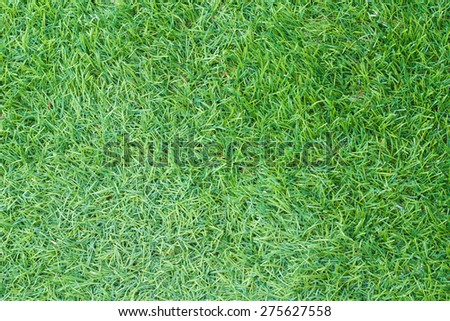 Green artificial turf suitable for a background or texture.