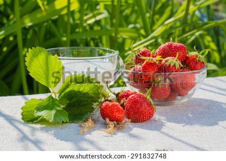 Bowl of strawberries, strawberry leaves, a cup of milk on a napkin on a grass background