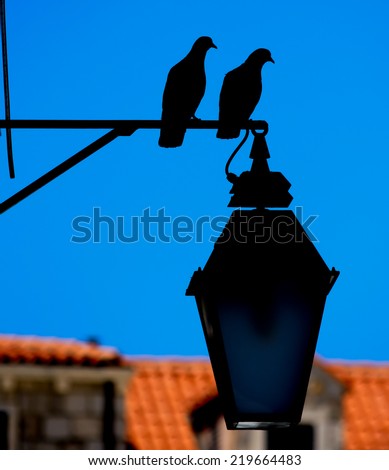 Silhouette of two pigeons ona a lamp post
