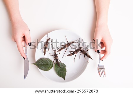 Plate full of insects in the insect to eat restaurant