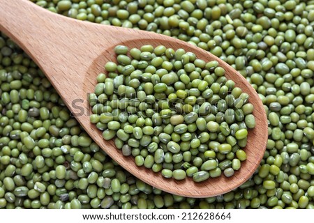 Green mung beans in a wooden spoon on green mung background. Close-up.