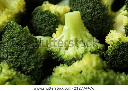 Fresh Steamed Broccoli. Close-up.