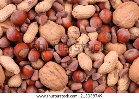 Nuts mix (hazelnuts, peanuts, walnuts, pine nuts). Close-up.