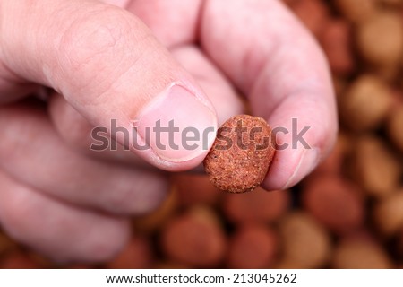 Dog food in the fingers above dog food background. Background out of focus. Close-up.
