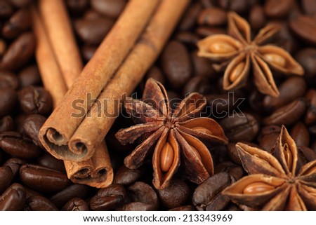 Cinnamon sticks, star anise and coffee beans. Close-up.