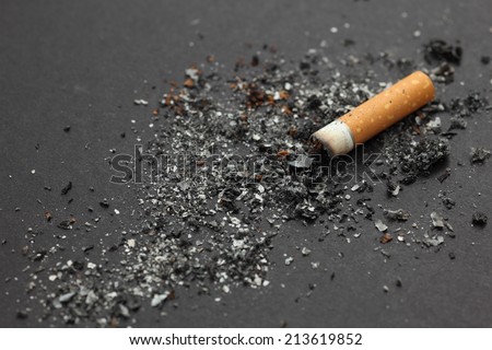 Cigarette butt with ash on black background. Closeup.