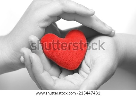 Red heart in gentle hands.