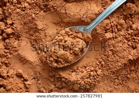 Cocoa powder with spoon. Raw organic product.