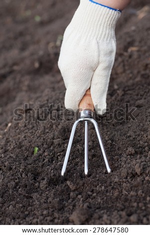Weeding. Treatment of the ground with a handled garden claw. Closeup.