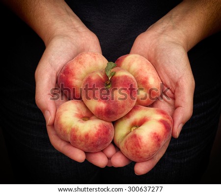 Woman holds fresh harvested flat peaches in her palms. Closeup.