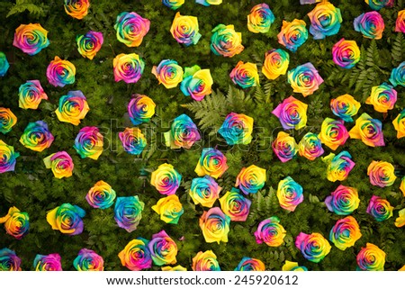 The walls are adorned with a rainbow roses and fern leaves.