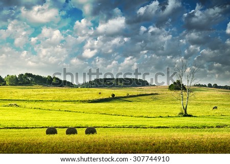Green, illuminated meadow covered  with blue sky and  many clouds. Summer landscape.