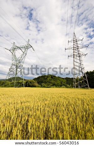 High voltage power lines above wheat field