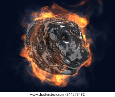 asteroid in the form of a burning skull