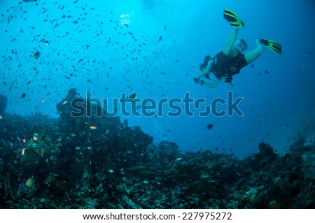 Diver and various coral reefs in Gili, Lombok, Nusa Tenggara Barat, Indonesia underwater photo. There are acropora, various hard coral