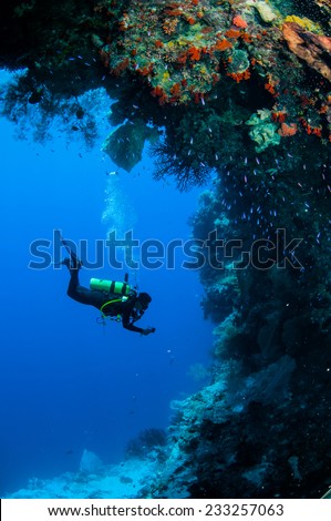 Diver swimming around in Banda, Indonesia underwater photo. There are sponge, reef fishes, sea fan.