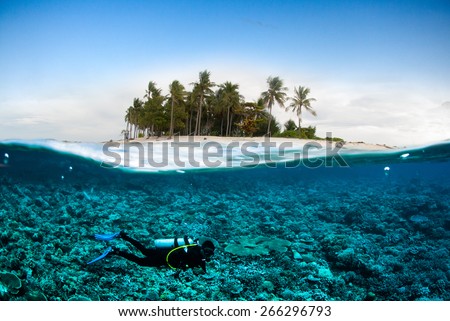 scuba diving diver below coconut island  bali lombok sulawesi indonesia underwater bali lombok