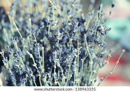 decoration dried flowers - for home